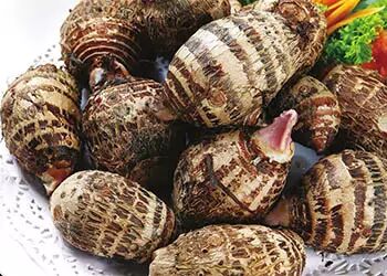 水垢隐患大,如何简单有效除水垢?!