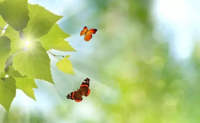 最穷无非讨饭,不死终会出头。