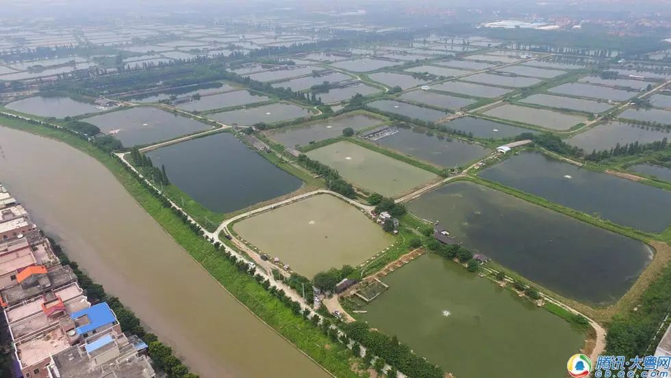 广东省总人口有多少_河南总人口1.09亿,郑州首次成为全省常住人口最多的城市(3)