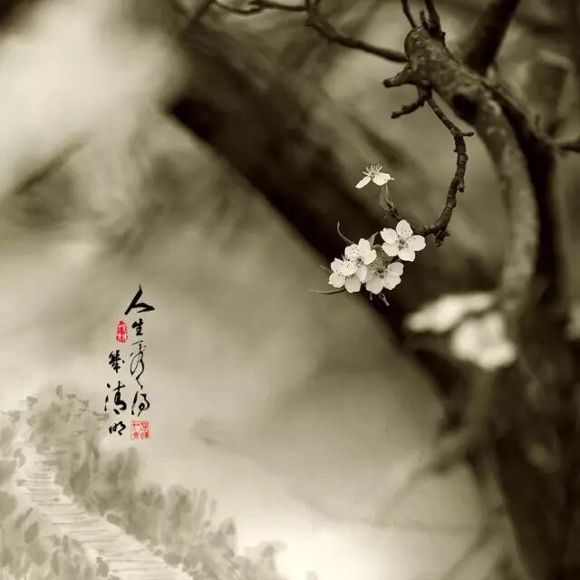 简单,真好!(经典美文)