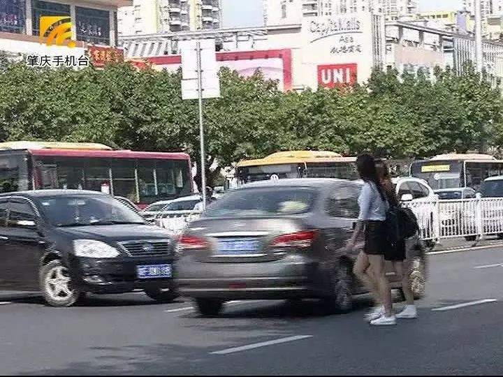 肇庆市有多少人口_肇庆到底有多大 身为肇庆人你居然不知道...