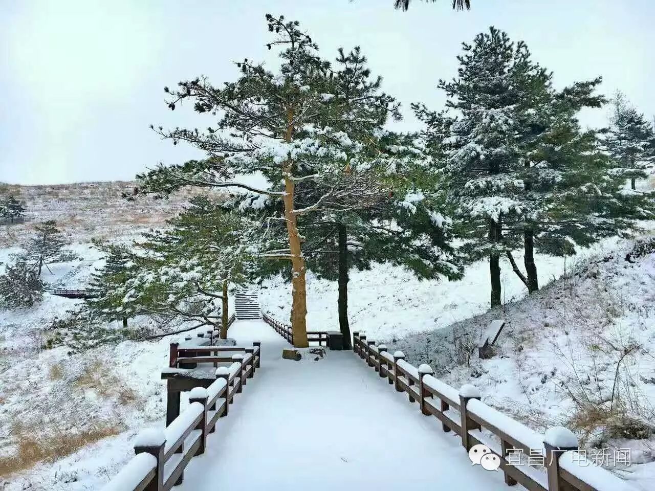 宜昌有多少人口_汉宜铁路开通 宜昌东站迎首批乘客(3)